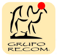 AMORTIGUADORES DE GAS